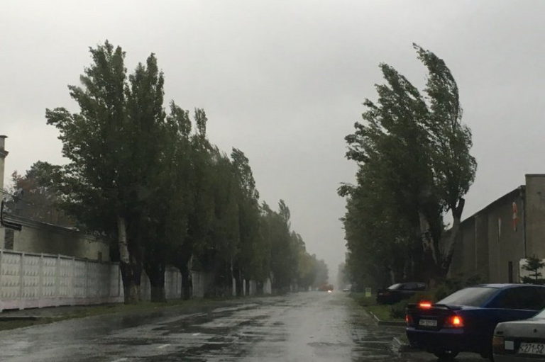 Непогода обесточила более сотни населенных пунктов Непогода обесточила более сотни населенных пунктов
