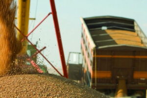 Виручка від експорту агропродукції України впала на 16 %