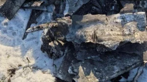 Стало відомо, скільки цілей знешкодили сили ППО