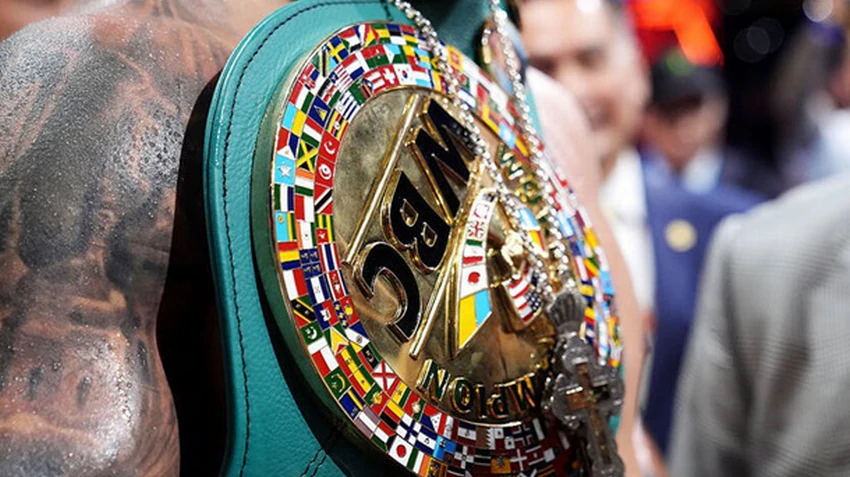 WBC розкрив причини присвоєння титульного статусу поєдинку Усик - Верховен