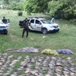 Операція Нерест: у браконьєрів вилучили 10 тонн риби
